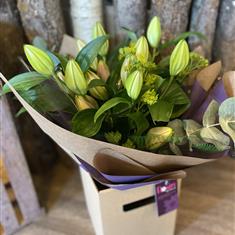 Lily Love