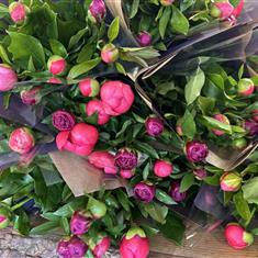 Flower Friday Special 